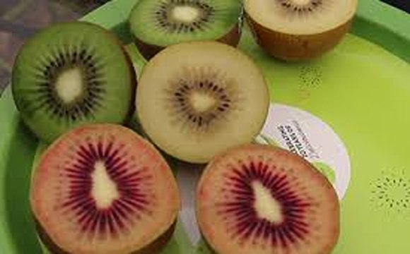 تصویر 2 از خرید و قیمت کیوی قرمز شمال + فروش عمده